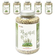  갑당약초 차전자피환, 400g, 6개 