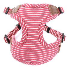 도그아이하네스