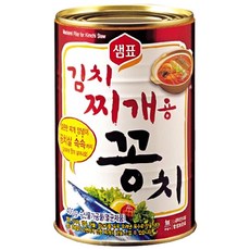 삶을디자인하는꽁치