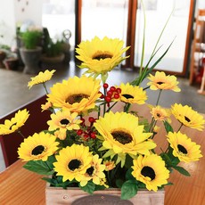 fd367d63-1679-48fb-afb8-bd870a997010.jpg