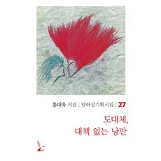 [달아실]도대체 대책 없는 낭만 - 달아실 기획시집 27, 달아실, 홍대욱