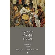 에볼리다리미