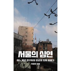서울의 심연:어느 청년 연구자의 빈곤의 도시 표류기