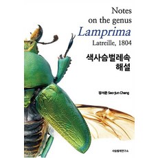 [사슴벌레연구소][POD] 색사슴벌레속 해설, 장서준, 사슴벌레연구소