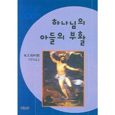 하나님의 아들의 부활, CH북스(크리스천다이제스트), 톰 라이트 저/박문재 역