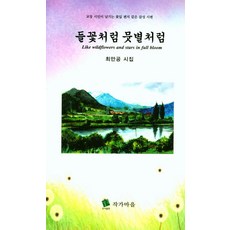 [작가마을]들꽃처럼 뭇별처럼 (양장), 작가마을, 최만공