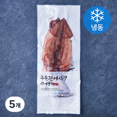 주문진어시장건어물 반건조 오징어 (냉동), 5개, 350g(3미)