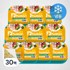 듀먼 강아지 닭가슴살 & 채소 오리지널 화식 용기형 10팩 (냉동), 닭, 50g, 30팩