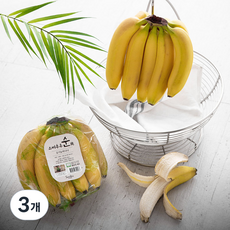 스미후루 유기농 바나나, 1.2kg, 3개 1.2kg 내외 × 3개 섬네일