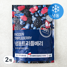 네츄럴웨이 트리플베리 (냉동), 2개, 500g