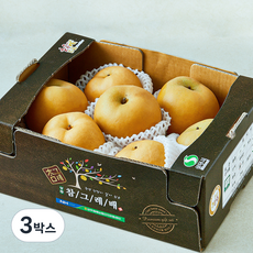 농협 명실상주 GAP 인증 추황배, 3박스, 3kg(4~7입)