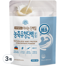 내추럴박스 농축 유청 단백질 분말, 500g, 3개