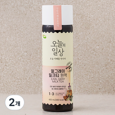 오늘의일상 얼그레이 밀크티 원액, 400ml, 2개