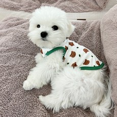 狗衣服, 綠色