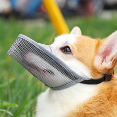 PASTEL PET 中大型犬透氣網布嘴套 M號, 灰色的, 1個