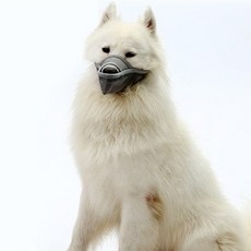 파스텔펫 중대형견 메쉬 입마개 L, 그레이, 1개