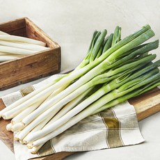 중국산 신선 대파, 5kg, 1개