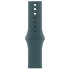 Apple 정품 2024 애플워치 스포츠 밴드, 레이크 그린, 1개