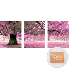 아트조이 DIY 명화 그리기 3단세트 40 x 50 cm, 벚꽃나무