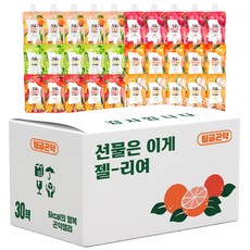 로엘6종