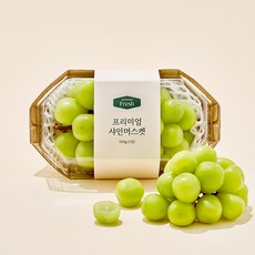 프리미엄 샤인머스켓, 700g, 1개