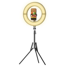 JOYTRON RGB環形燈折疊式照明 30cm+智慧型手機支架三腳架組, 1組, LD50F