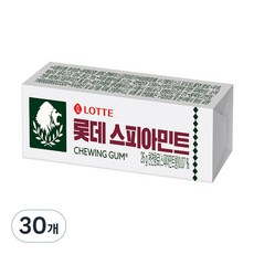 롯데제과 스피아민트 껌, 26g, 30개