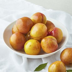당도선별 자두, 1kg(8입 이내), 1팩