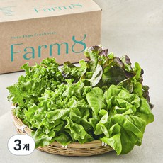 팜에이트 무농약 인증 유러피안 샐러드 꾸러미, 450g, 1개입, 3개