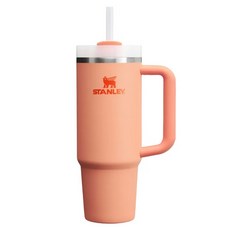 STANLEY 冒險系列 吸管隨手杯2.0, 0.88L, Tritan安全材質, 不含BPA, 適用於洗碗機, 880ml, 暖陽橘, 1個