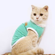 아리코 고양이 앤 강아지 코튼 스트라이프 티셔츠, 그린