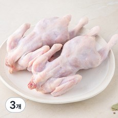 곰곰 유황먹여 키운 두마리 통닭 백숙용(냉장), 1.1kg, 3개