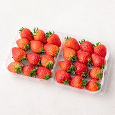 국내산 한반도 설향 딸기, 750g, 1팩