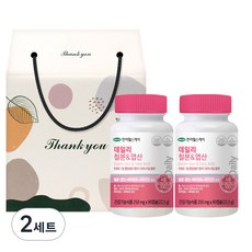 HanmiHealthcare 每日鐵和葉酸禮品套組, 180顆, 2組