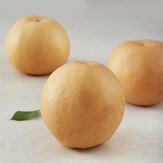 곰곰 천안 당도선별 신고배, 2kg(3~5입), 1팩