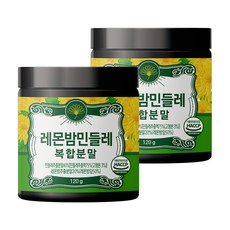 초담식품 레몬밤민들레 복합분말, 120g, 2개