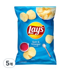 레이즈 솔트 앤 비네거 감자칩, 184.2g, 5개