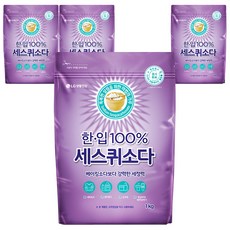 한입 세스퀴소다 세제
