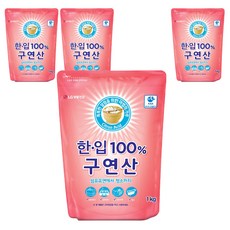 한입 100% 구연산, 1kg, 4개