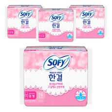바디피트 한결 생리대 중형, 16개입, 4개