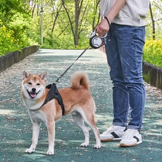 오프화이트리드줄