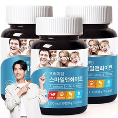 뉴트리디데이 프리미엄 스마일 앤 화이트 츄어블 자일리톨 36g, 30정, 3개