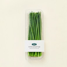 프리미엄 남해 남면 마늘쫑, 200g, 1개