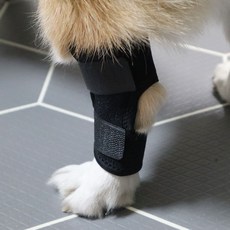 DING DONG PET 寵物護腳套, 黑色的
