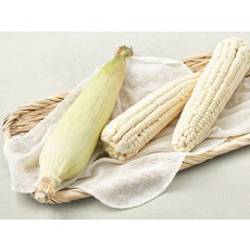 국내산 찰옥수수, 400g, 1개, 2개입