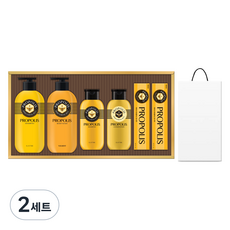 LG 生活健康 蜂膠精華沐浴禮盒+購物袋, 2組