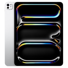 Apple 2025 아이패드 프로 13(M5 모델) 스탠다드 글래스, 실버, 512GB, Wi-Fi+Cellular