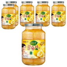 담터 꿀유자차, 1kg, 6개, 1개입 1kg, 1개입, 6개