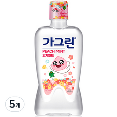 가그린 피치민트 구강세정제, 750ml, 5개