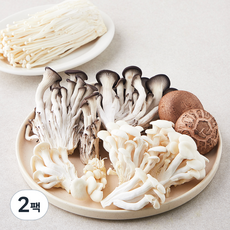 샤브샤브용 모둠버섯, 450g, 2팩 2팩, 450g